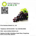 grape seed extract 4