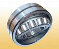 SKF22234CC/W33進