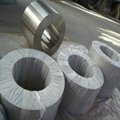 Nickel & Nickel alloy forging/flange