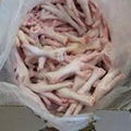 Halal Frozen Chicken Feet and Paws  1