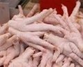Quality Halal Frozen Chicken Feet and