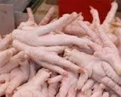Quality Halal Frozen Chicken Feet and Paws at Discount Prices