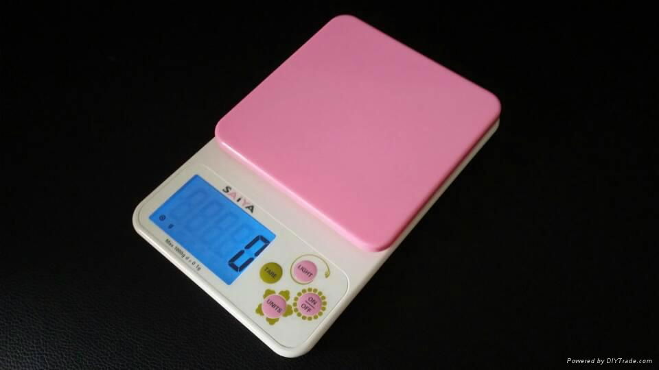 Household scale 2