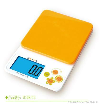 Household scale 4