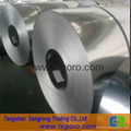 gavalnizied steel coil