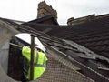 Bat Netting - Prevent Bats from Your Houses and Attics 1