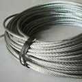 Galvanized Stainless Steel Wire Rope  1