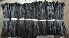 exporter of   vanilla beans 