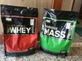 Sport Supplements Whey Protein 1