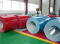 Prepainted steel coil sheet