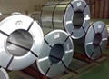 Galvanized steel coil