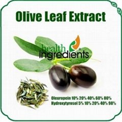 100% Natural Oleuropein Olive leaf extract