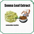 Natural Laxative Senna Leaf extract Sennosides 1