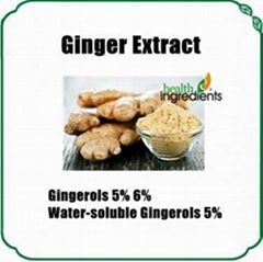 Ginger Extract Gingerols