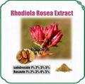 Rhodiola Rosea Extract Rosavin