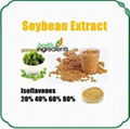 Soybean extract Natural isoflavones