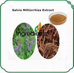 Salvia miltiorrhiza P.E. Tanshinone IIA