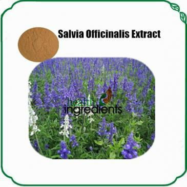 Salvia officinalis extract Raw powder, ratio powder