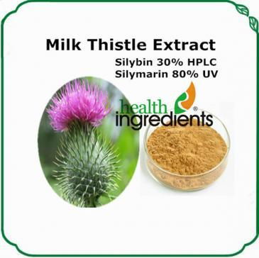 Milk Thistle extract Silymarin