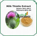 Milk Thistle extract Silymarin 1