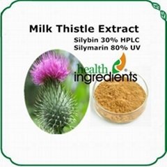 Milk Thistle extract Silymarin