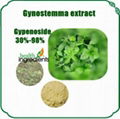 Gynostemma Leaf extract Gypenosides 1