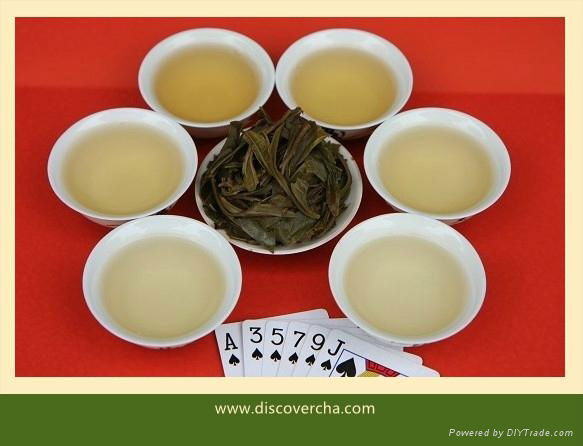 2013 JingMai Ancient Puer Tea- Sheng Puer Cake 5