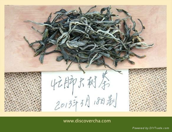 2013 Mang FeI Early Spring Raw Puer Cake 2