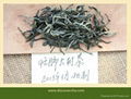 2013 Mang FeI Early Spring Raw Puer Cake 2