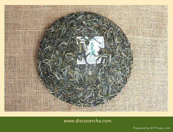 2013 Mang FeI Early Spring Raw Puer Cake