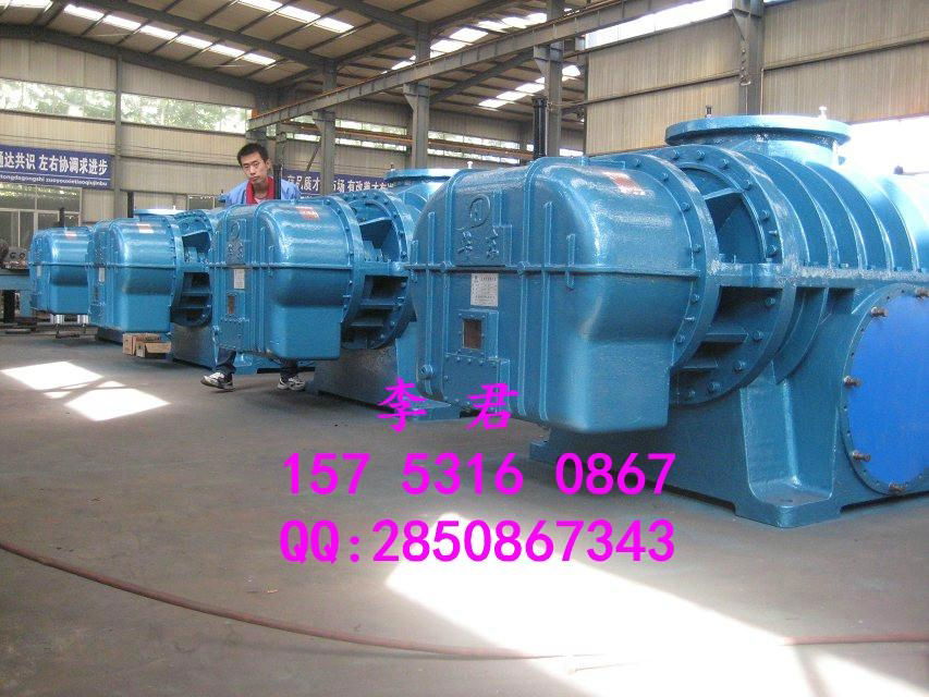 Biogas roots blower 3