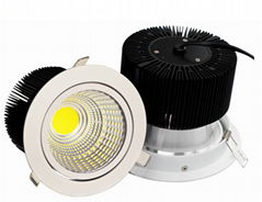 YC-DS310-01 10W COB LED