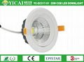 YC-DC517-01 20W COB LED