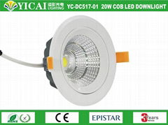 YC-DC517-01 20W COB LED