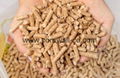 Cheap Wood Pellets for sale