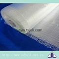 Fiberglass Cloth Woven Roving 310gsm C-glass 2