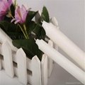 18g White wax candle making factory in china