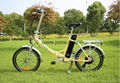 green and power electric bike