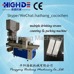 HDXG-4500 Straws group counting and packing machine