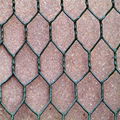 hexagonal wire mesh  2