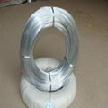 galvanized wire