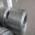 hot dipped galvanized wire