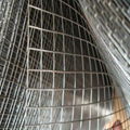 galvanized weled wire mesh