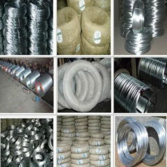  soft galvanized wire 