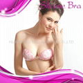 Wedding bra,Invesable bra