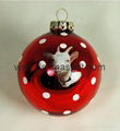 Personalized Hanging Glass Ball Christmas Ornaments  2