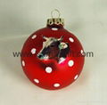 Personalized Hanging Glass Ball Christmas Ornaments  1