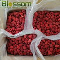 Frozen raspberry IQF raspberry crumble 2
