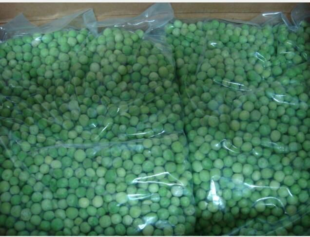 Frozen green pea IQF green pea  Grade A 2