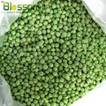 Frozen green pea IQF green pea  Grade A 3